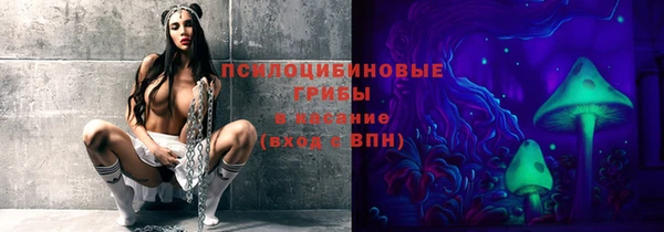 дживик Зерноград