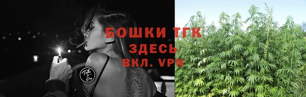 амф Зеленодольск