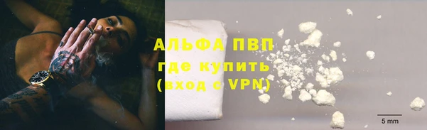 дживик Зерноград