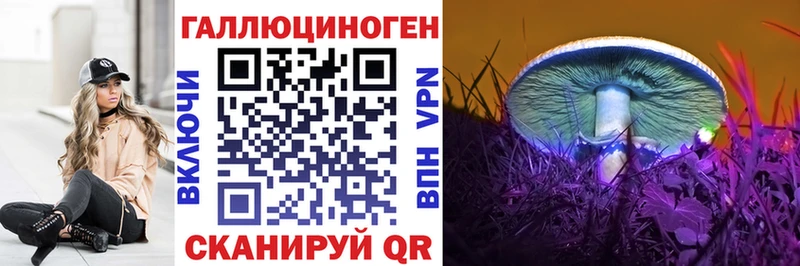 Купить  Давлеканово  Псилоцибиновые грибы GOLDEN TEACHER 